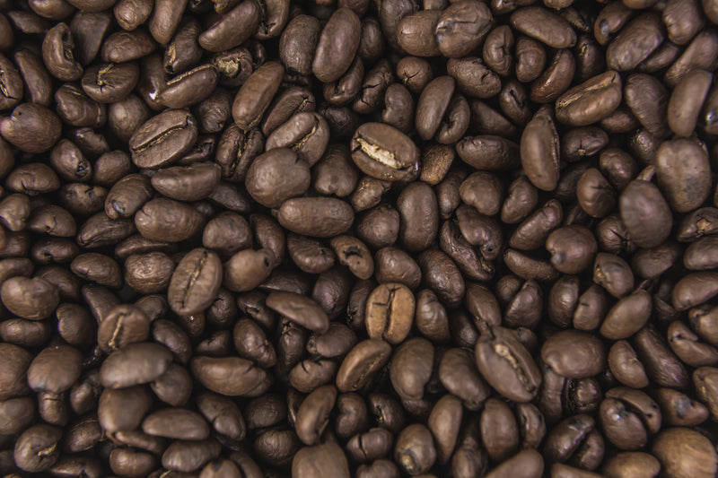 Your Marketplace for a Greener Tomorrow.